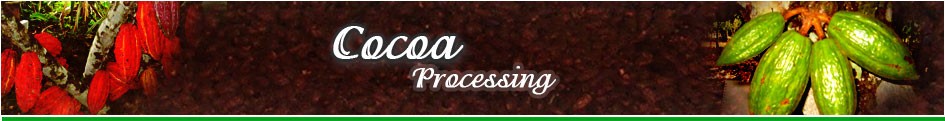 Cocoa processing